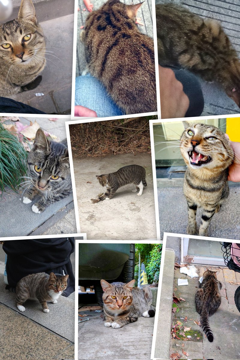 可爱多澐 tweet media