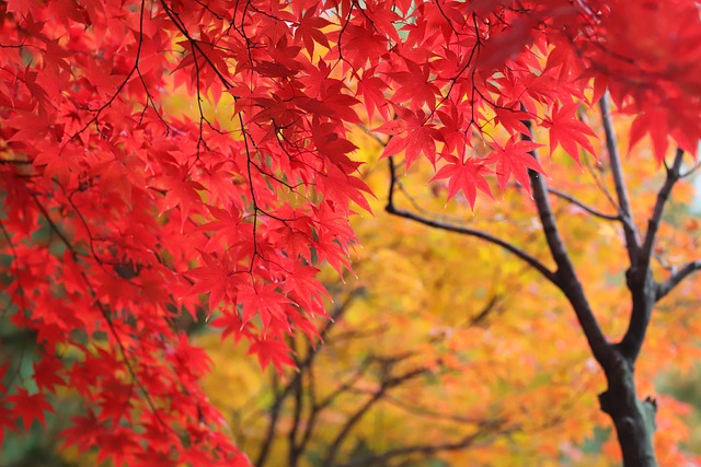 Alan Latson tweet media