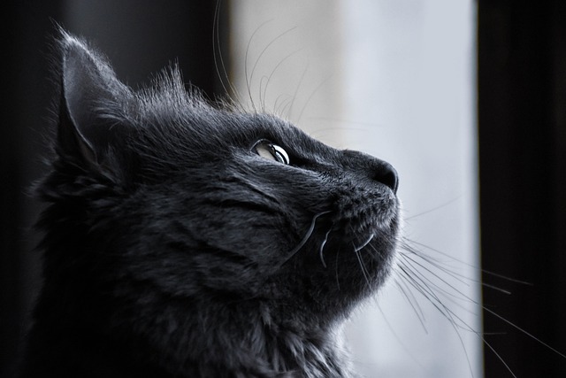 Jvionne Feaster tweet media