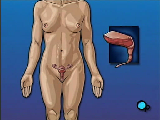 MedSelfEd_PreOp's tweet photo. Check out StoreMD™, the ultimate Patient Education Video Center! 📺👩‍⚕️ Click here to learn more:
Cystoscopy Female - https://t.co/uyVjnfNWZK https://t.co/dBQnEpWAwN