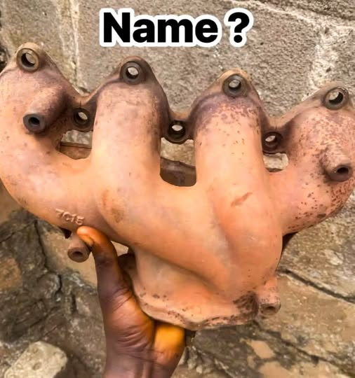 Connie 🇺🇸 tweet media