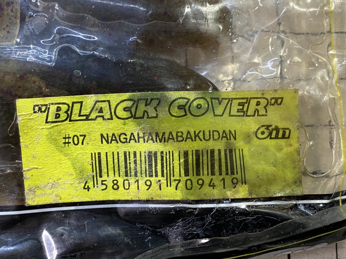 OLD WORMIN‘ IS GOOD tweet media