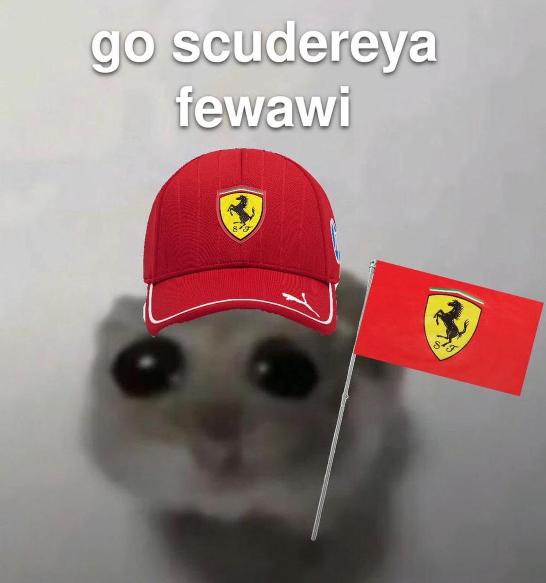 itssjannis tweet media