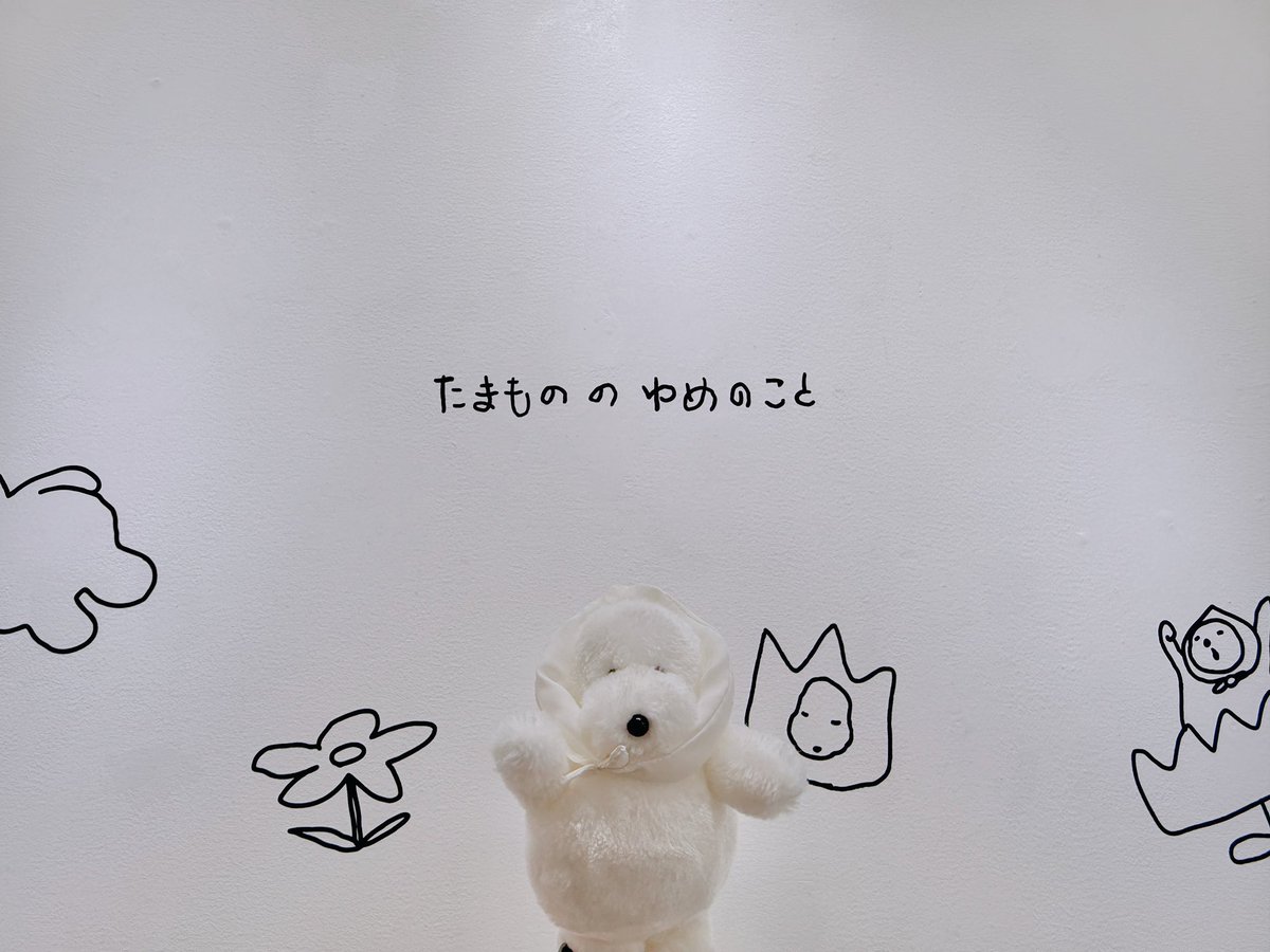 カネヒラ (@simainusima) / Posts / X