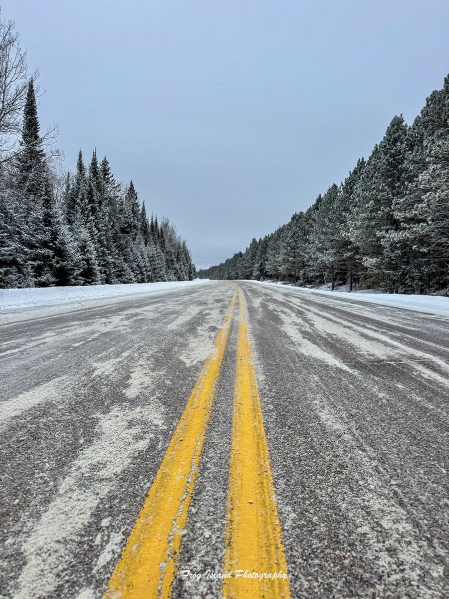 Frog Island Photography tweet media