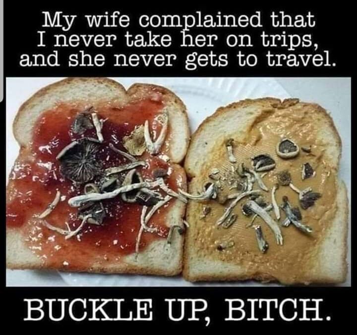🤣🤣🤣🤣🤣🤣🤣