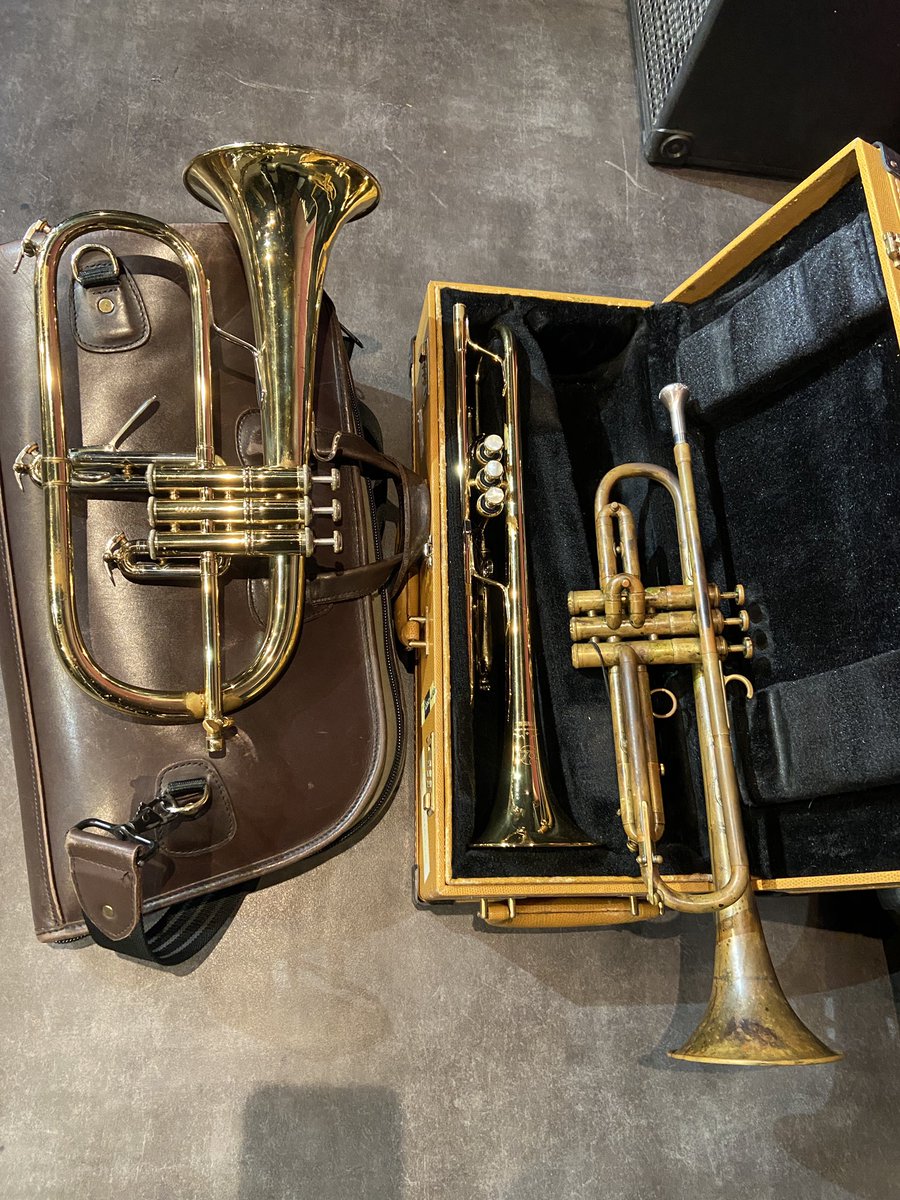 島裕介 しまゆうすけ tweet media