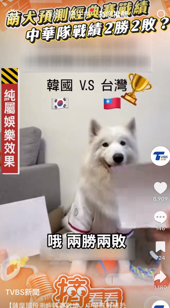 c2mwen's tweet photo. 神狗🎉🐶3/4 就說 我們會���南韓，剛剛才因費弟逆轉，真的會贏嗎🥳🥳🥳🥳⚾️⚾️⚾️⚾️⚾️ https://t.co/qNCBzy7iCQ