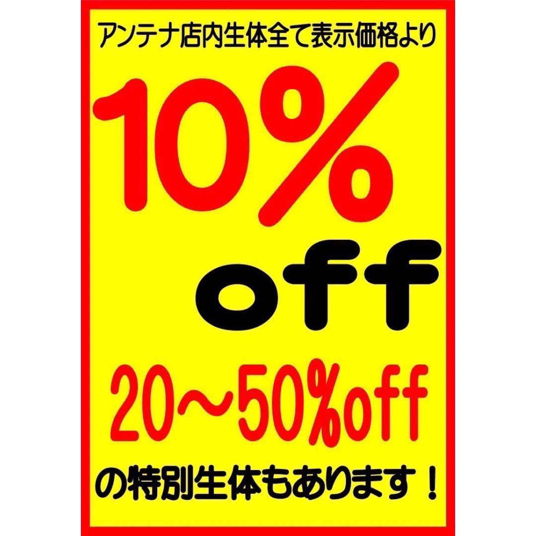 爬虫類ショップアンテナ 【井尻店】 tweet media