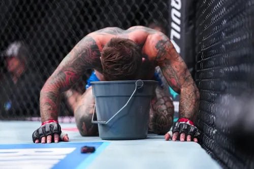 Shed Boy tweet media