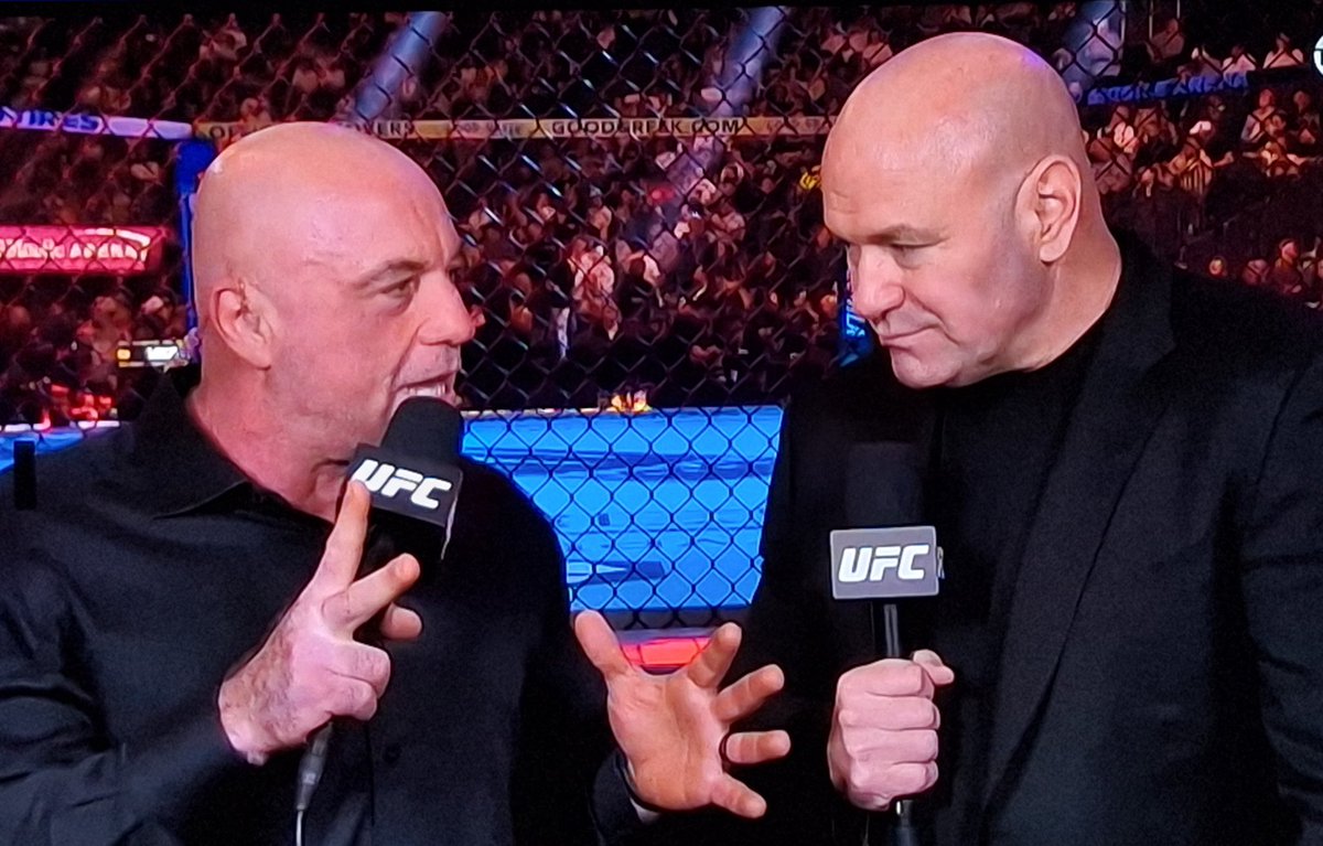 burnoutJaxx's tweet image. The worst BMF tittle fight.