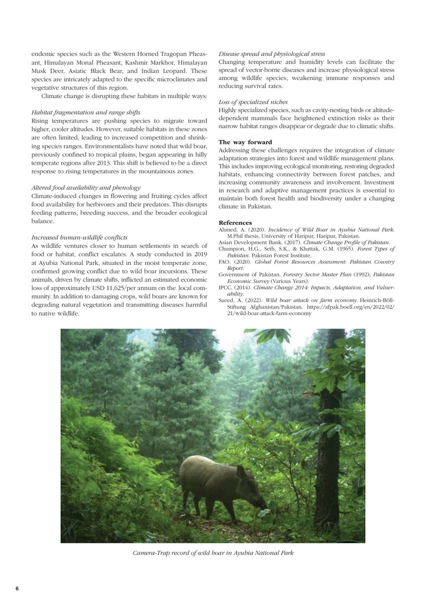aftab_uoh's tweet photo. Happy to share that I have won the essay writing competition organised by the Commonwealth Forestry Association, UK, and article has been published in the CFA Newsletter, March 2026 edition. https://t.co/wbT7LbROus