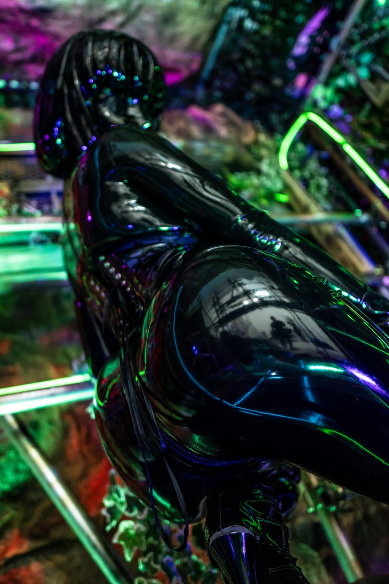 まこしき tweet media