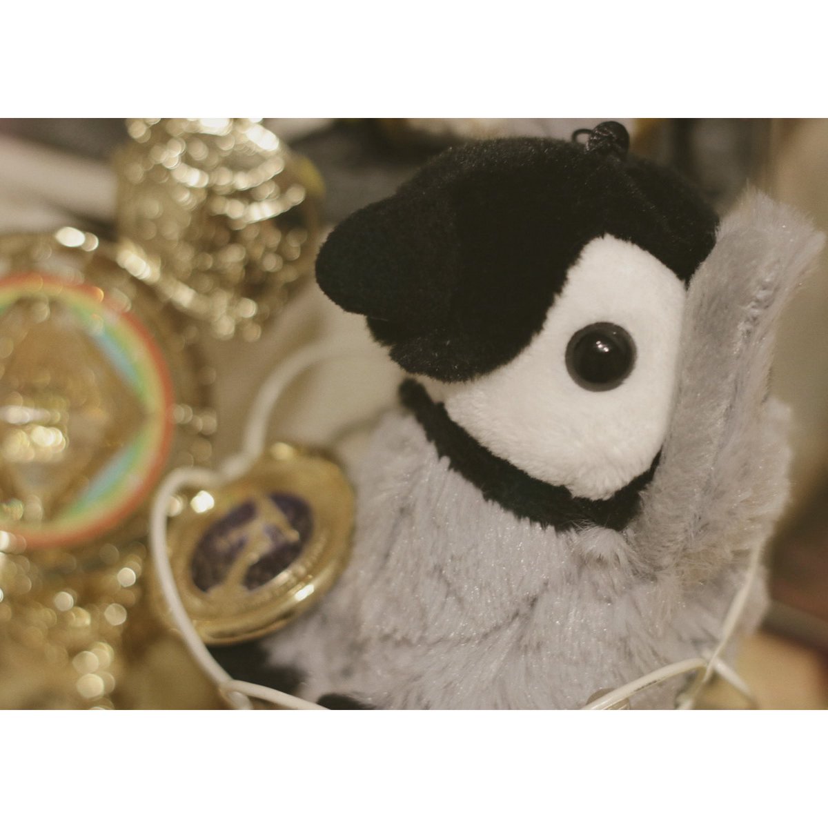 アキ@体調停滞中 tweet media