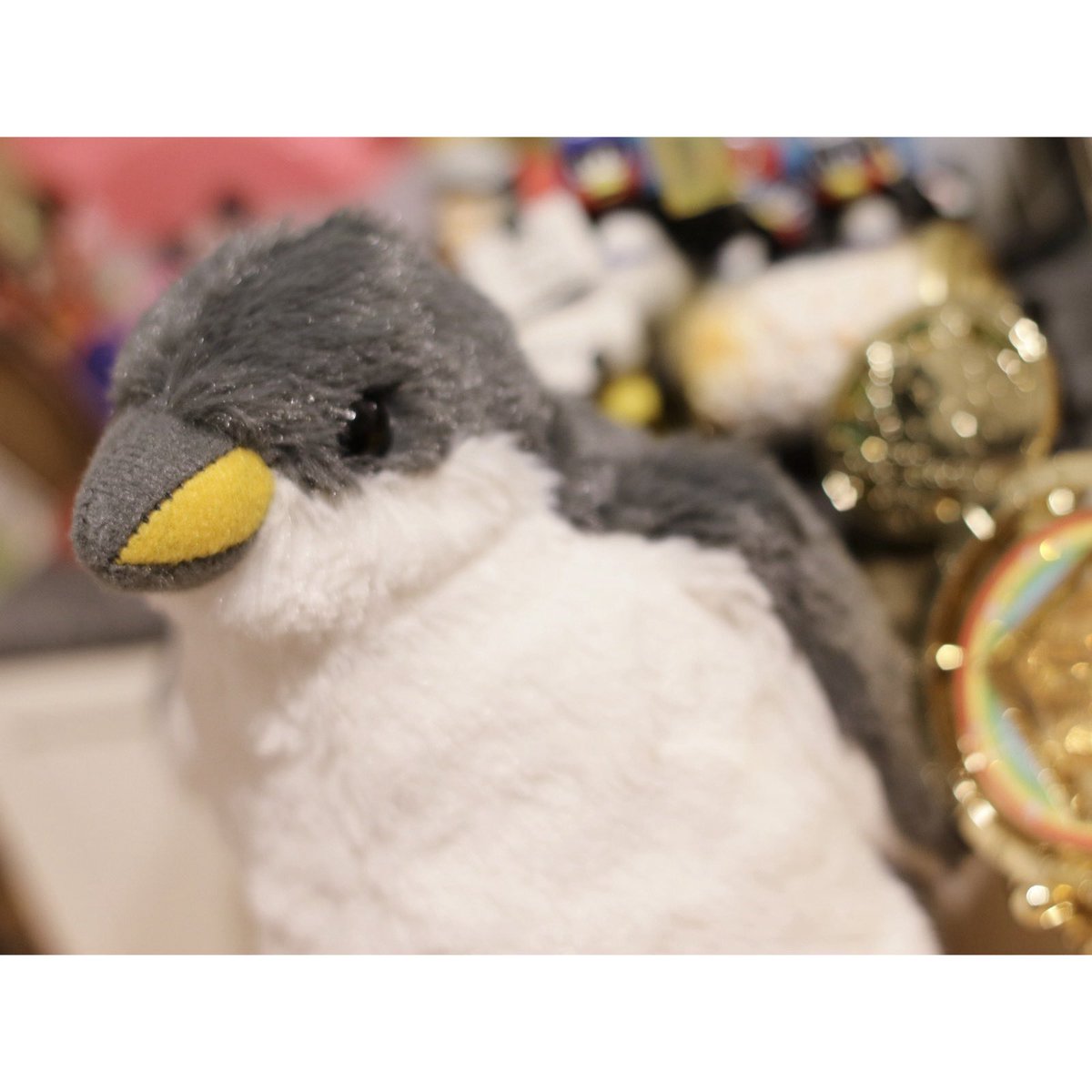 アキ@体調停滞中 tweet media