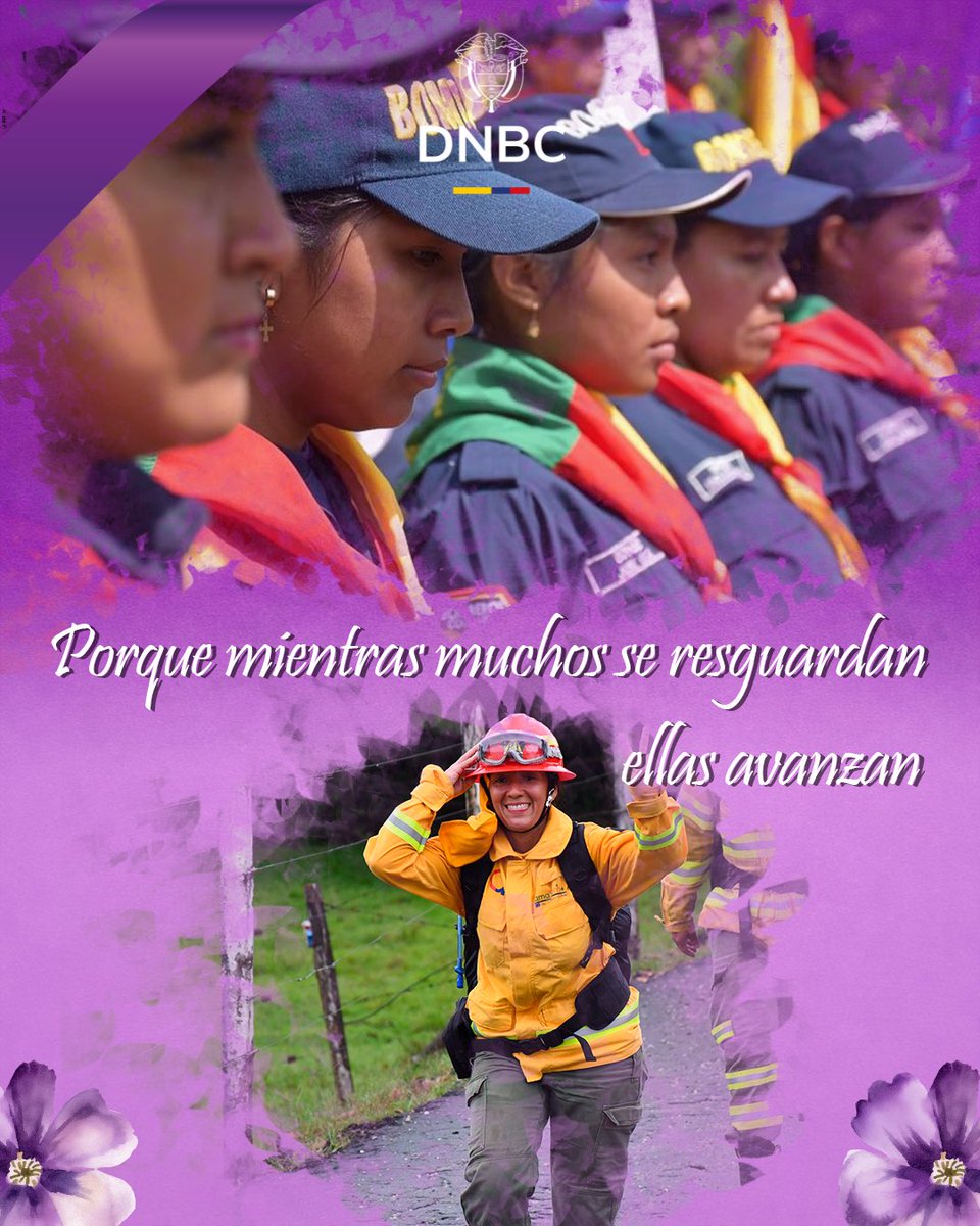 Dirección Nacional de Bomberos de Colombia tweet media