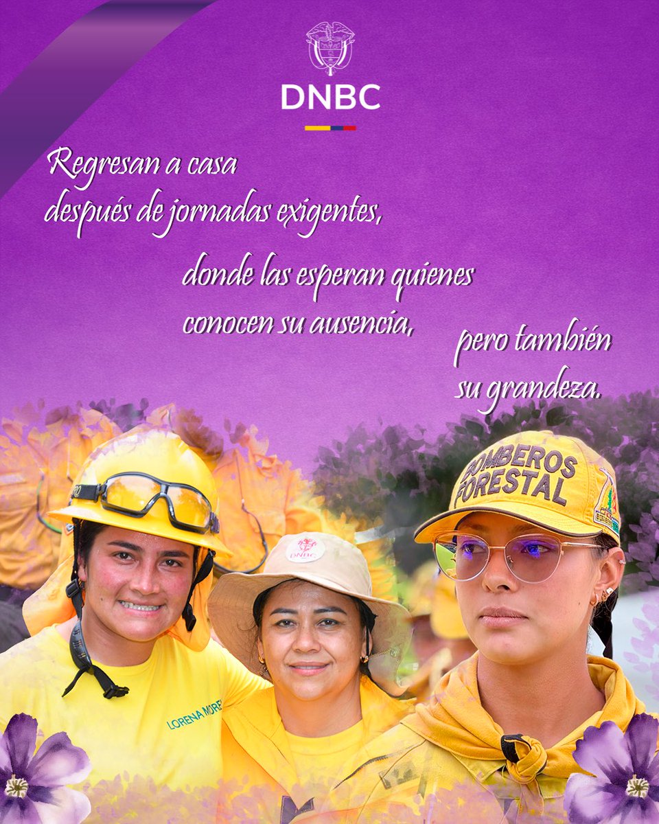 Dirección Nacional de Bomberos de Colombia tweet media