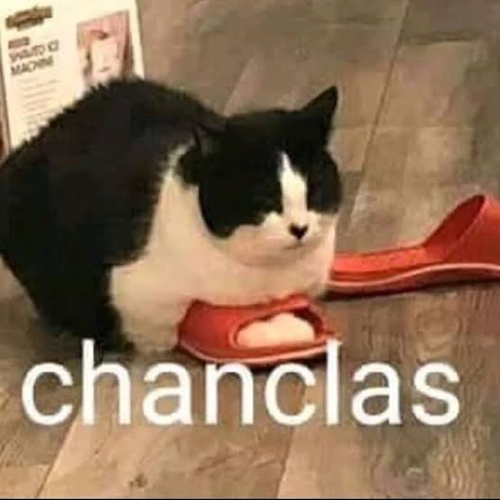 dalas_MX's tweet photo. @TraseroC @dalas_mexicano https://t.co/E7jzkV3k3q