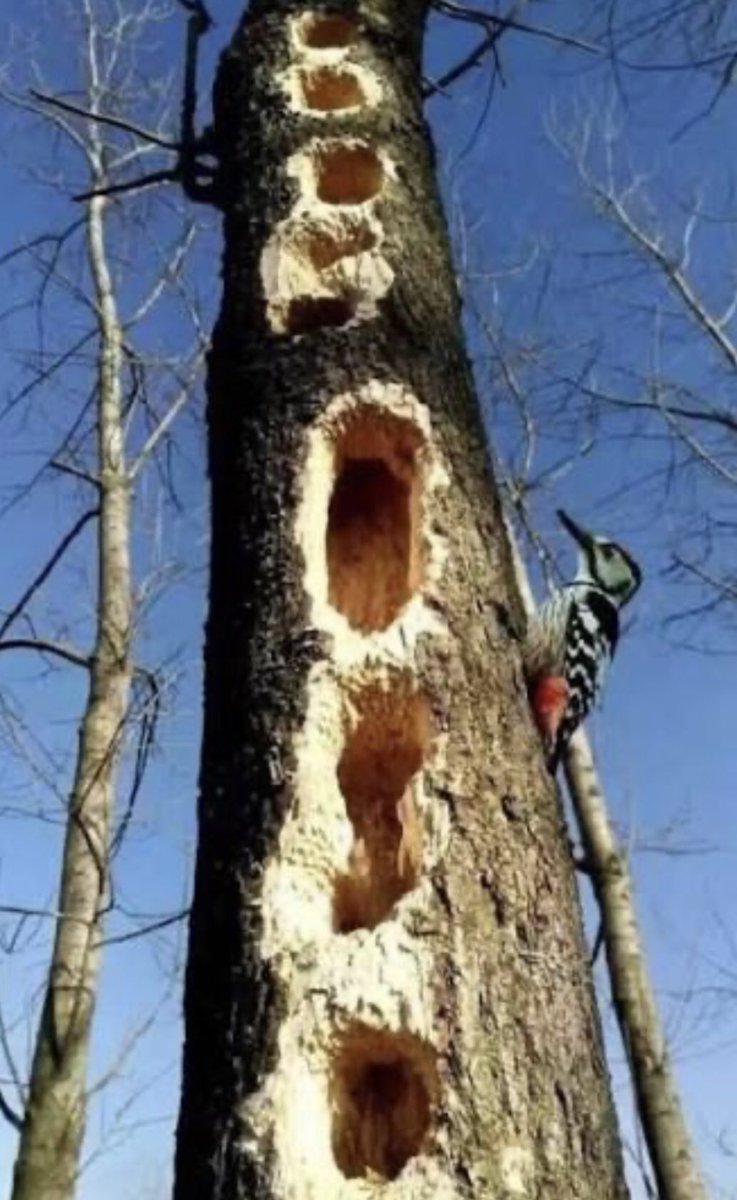 公民读书 tweet media