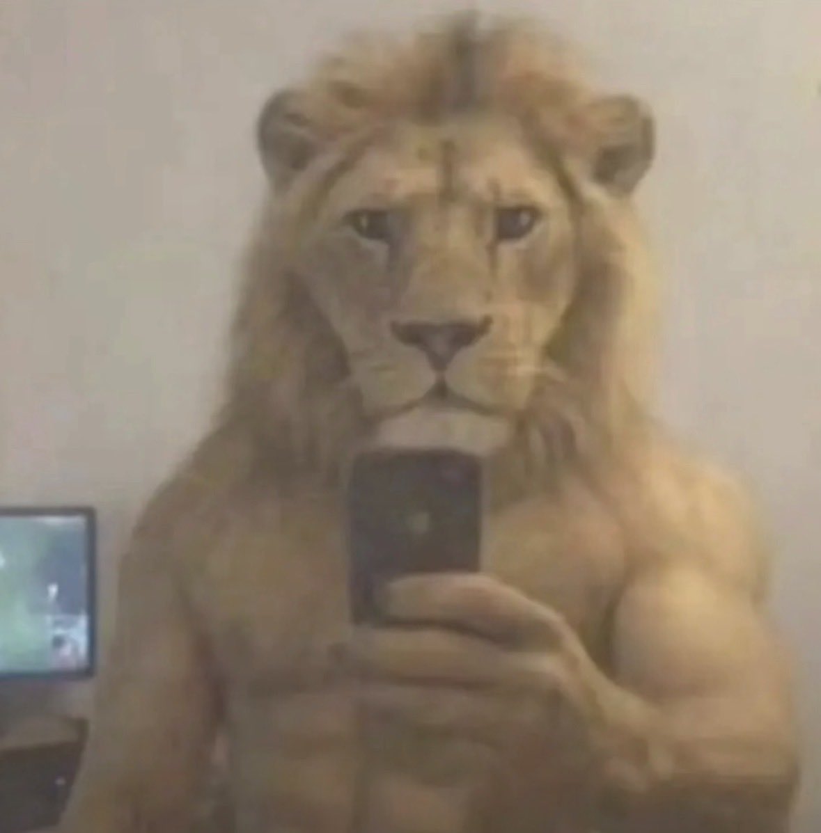 BASED MMA 🗣️‼️‼️ tweet media