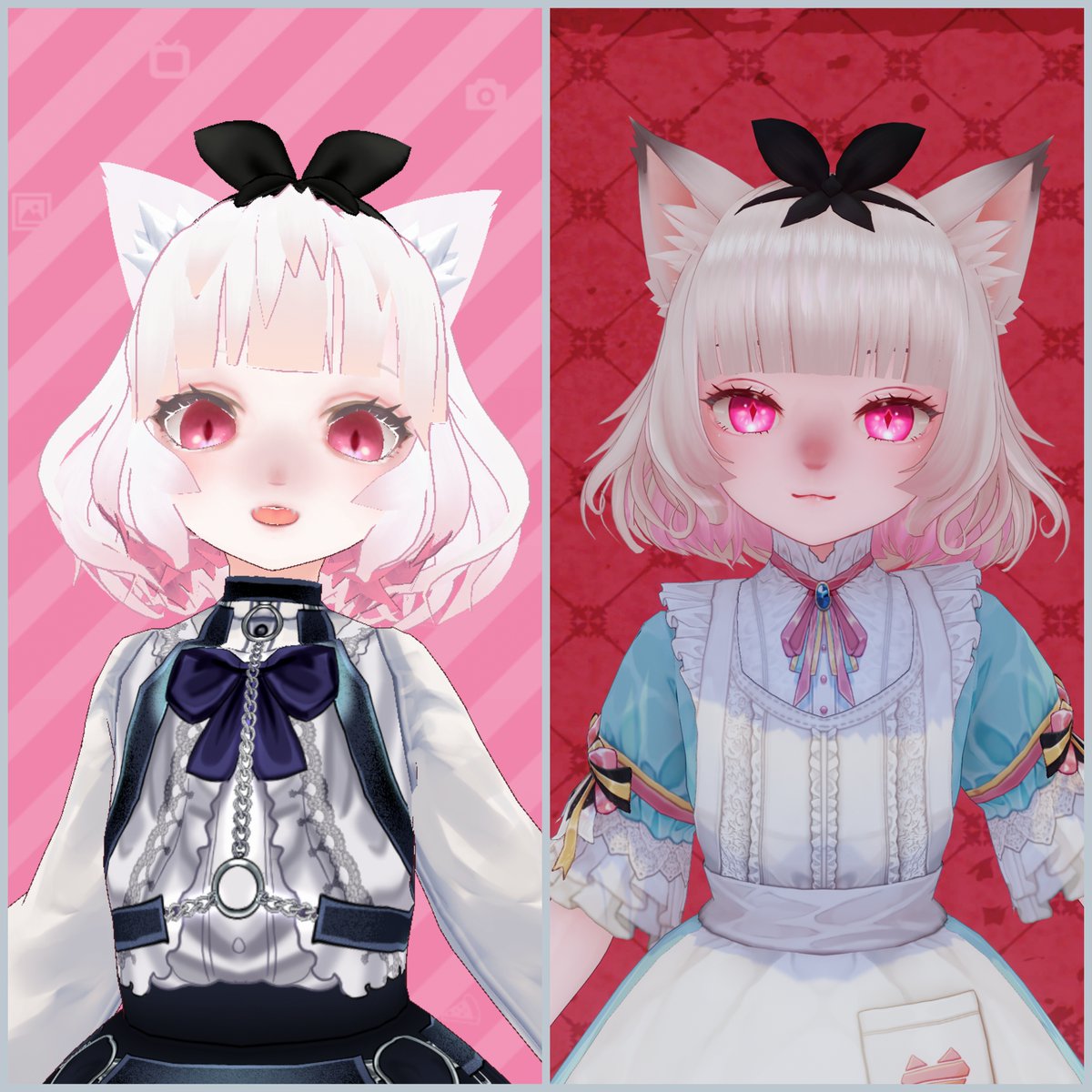 ねこのゆりか🐱 tweet media