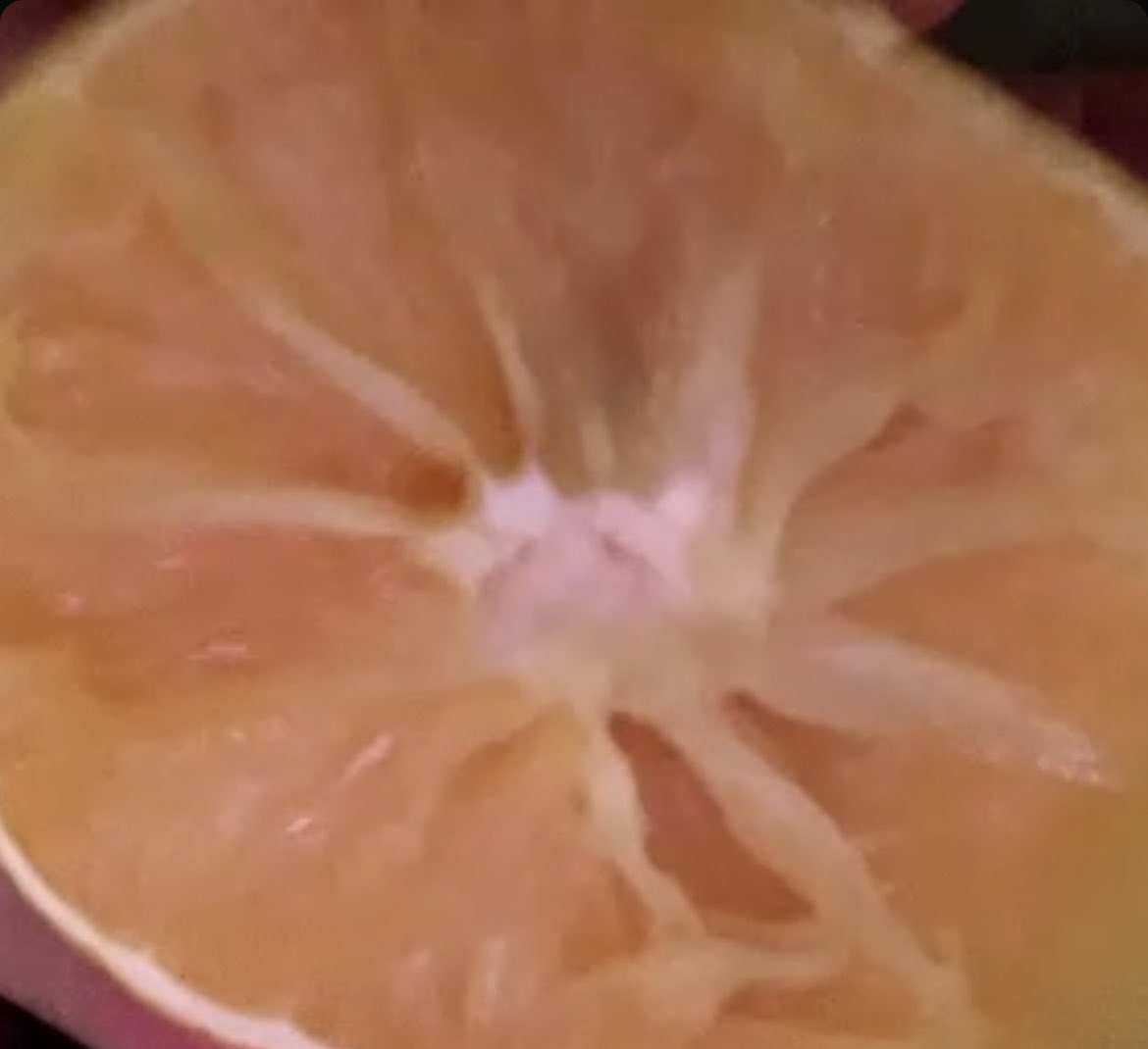 trenchcoatimpala tweet media