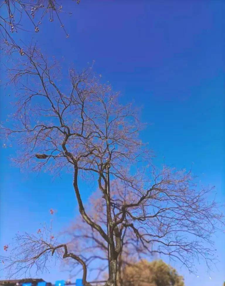 Petei DjCerIo tweet media