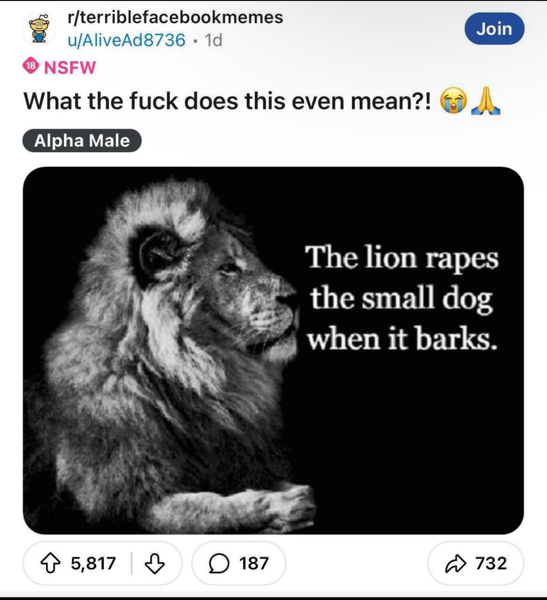 BASED MMA 🗣️‼️‼️ tweet media