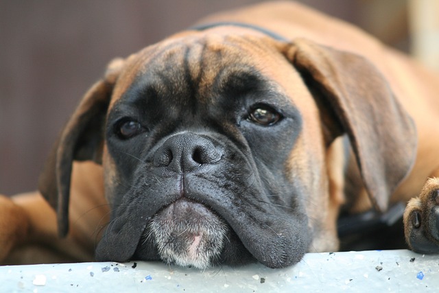 Carlos Kinney tweet media