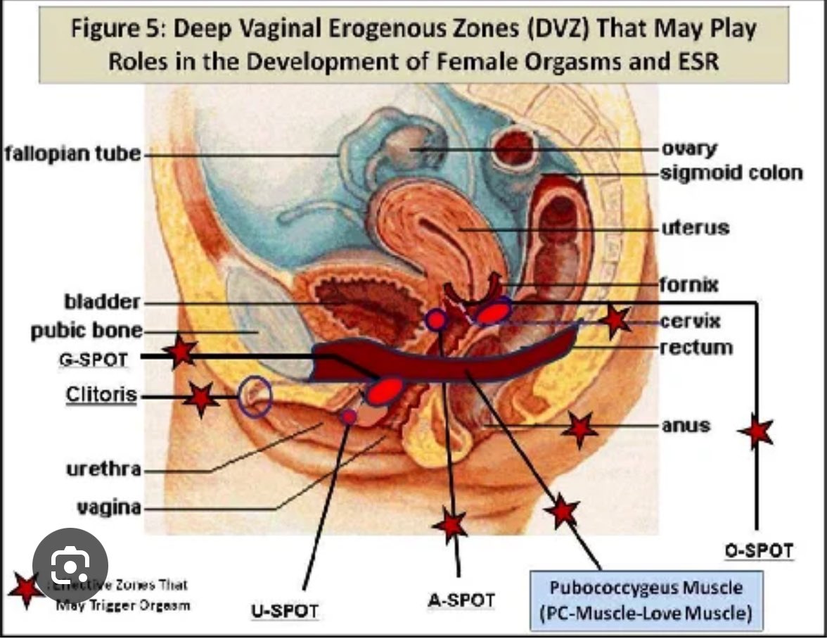 hoeflator/滥交师傅 (Yishun Kampung mode) tweet media