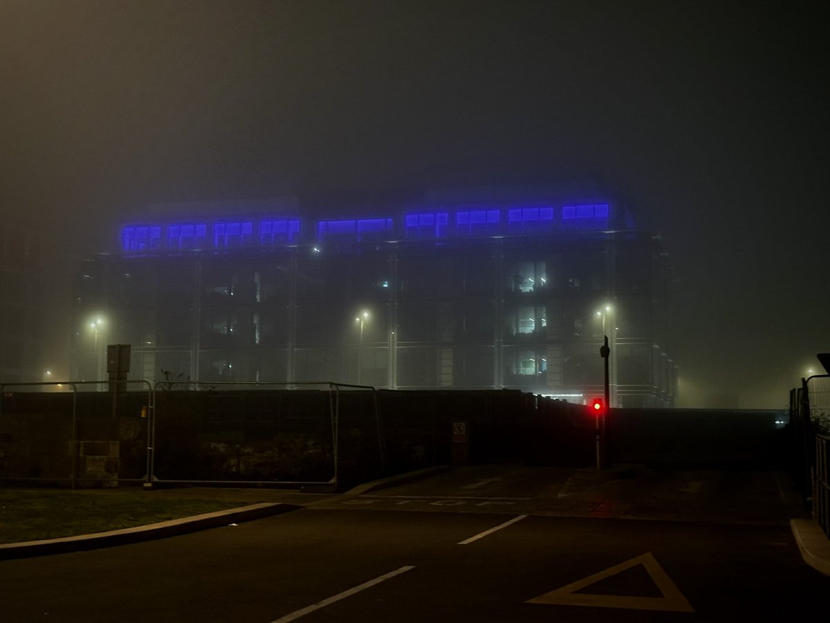 Lovely misty vibes while walking home crossfaded at 4:30am