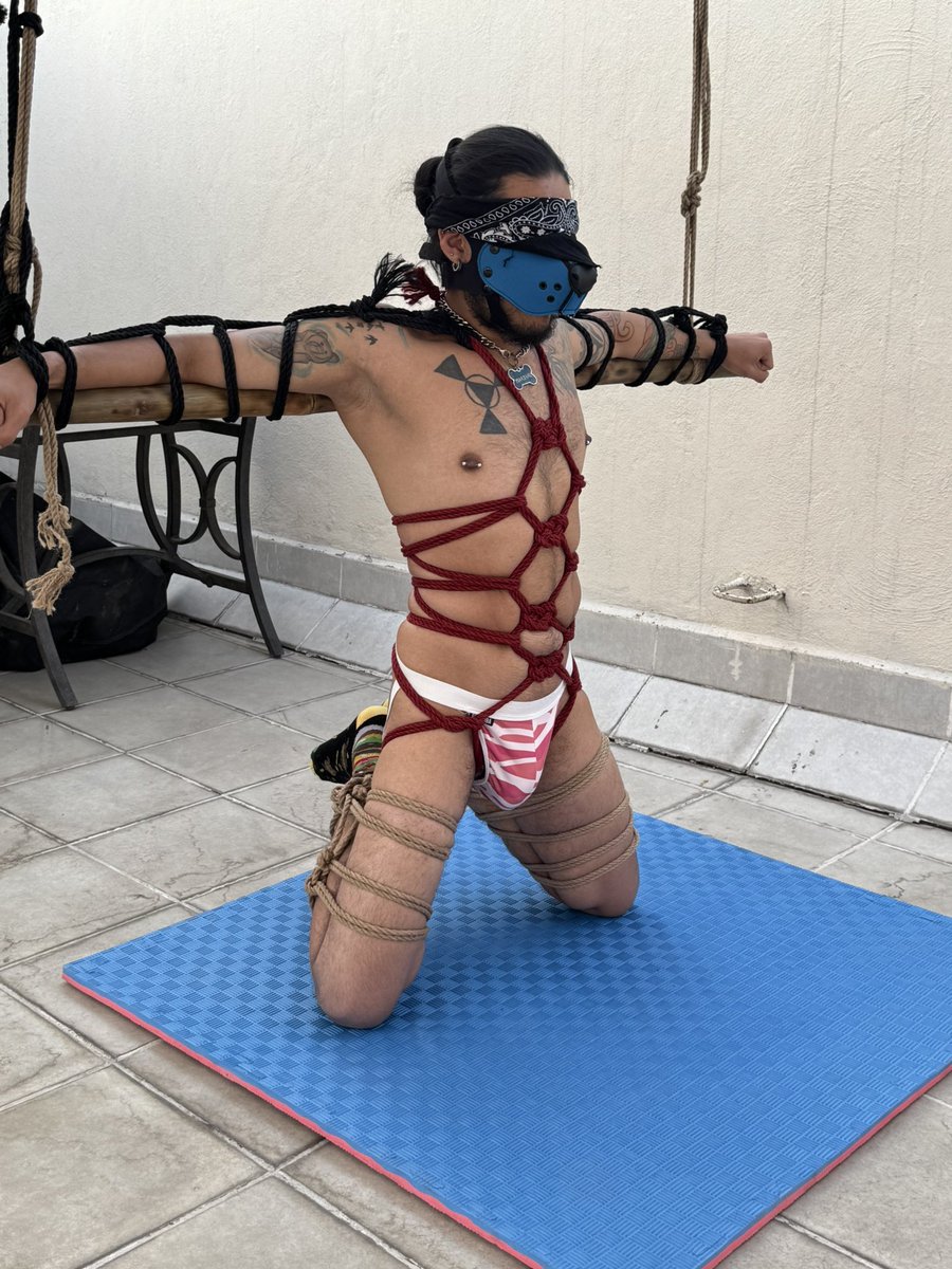 Axolo the Pup tweet media