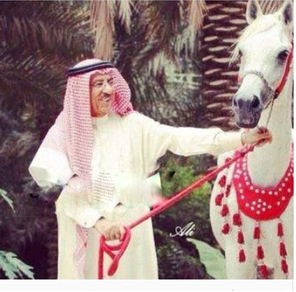 3156Mohammed's tweet photo. رجال خدمو ودعمو نادينا اذكروهم ولاتنسونهم من الدعاء في هذا الشهر الفضيل💚🧡
1)يوسف حمد الدوسري
2)محمد الربيع(بوخالد)
3)عبدالرحمن فهد المعيويد
4)إبراهيم سلمان الخنيفر
رحمهم الله جميعاً@alrawdahclub https://t.co/x77ZgSxbTG