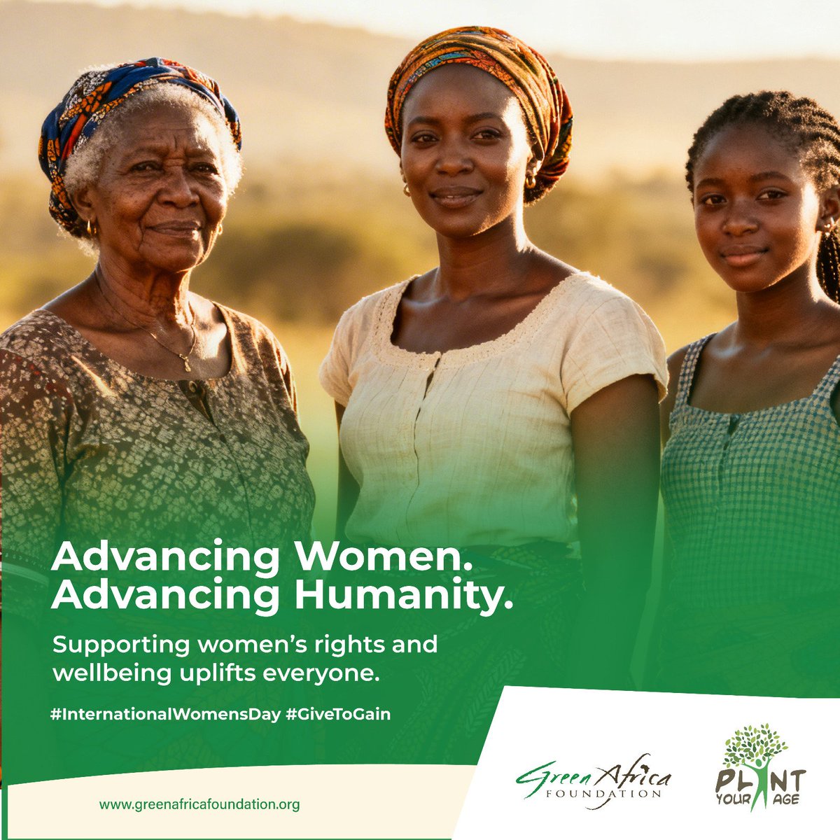 Green Africa Foundation tweet media