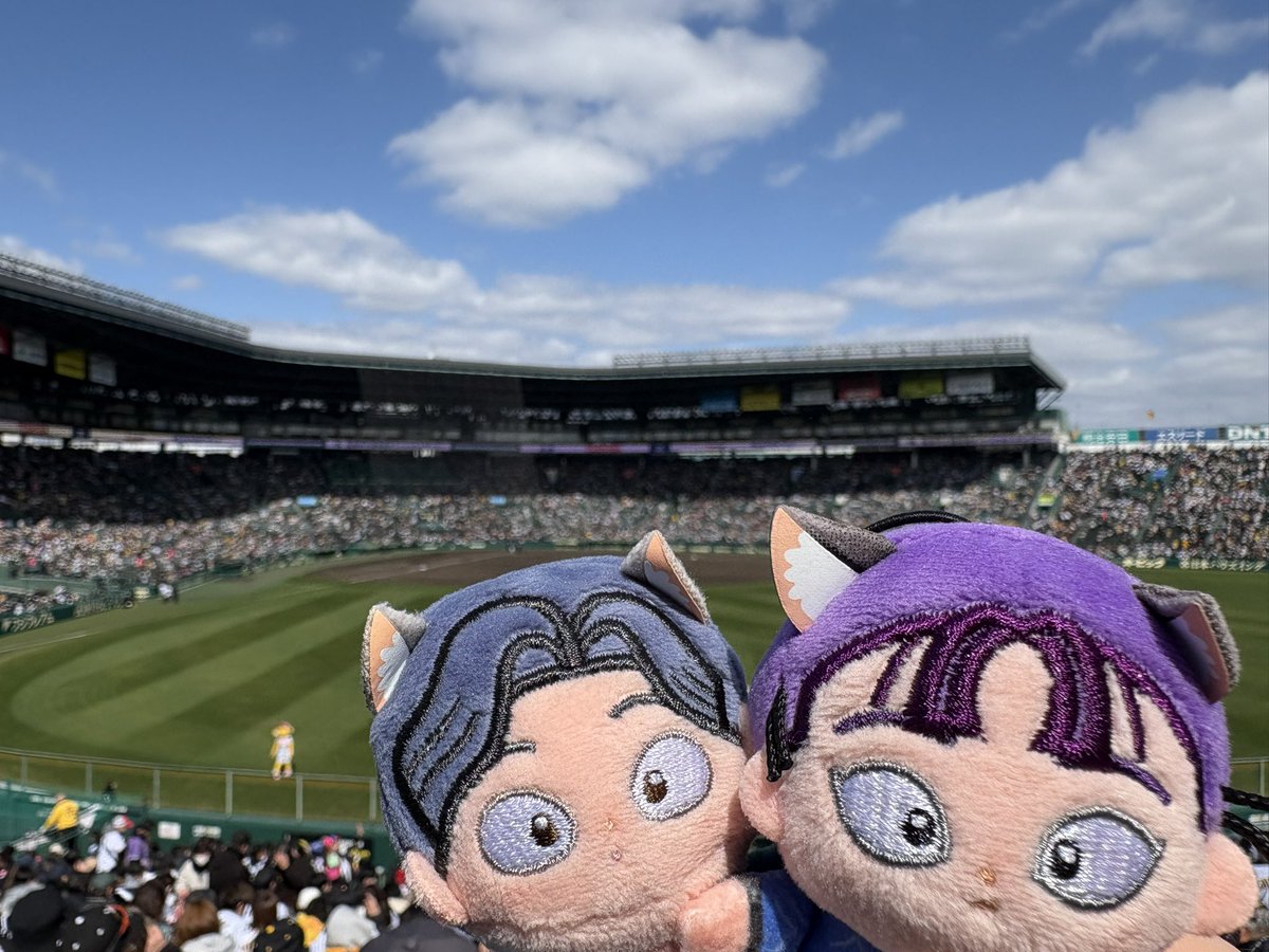 初めての甲子園だねぇ
飼い主もプロ野球の試合を見に来たのは2回目ですよ