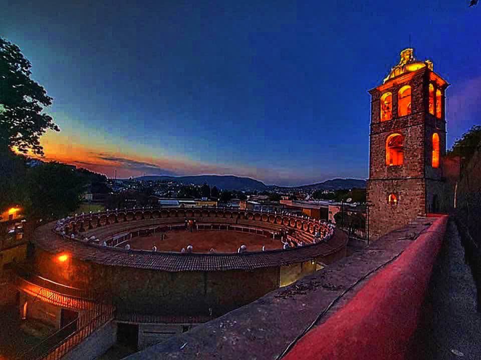 alejandra carvajal glez tweet media