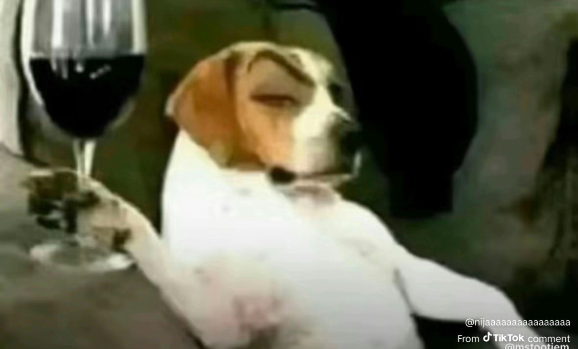 be honest refs how much did they pay y’all to not call shit