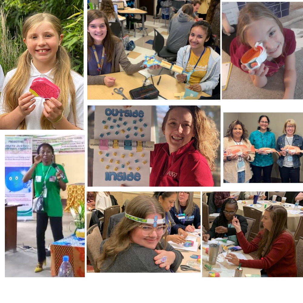 Origami Organelles tweet media