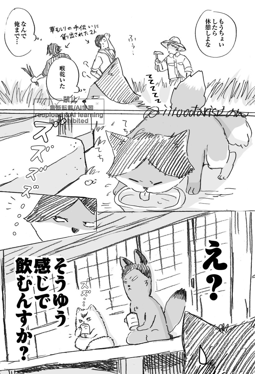 🍵🦊 