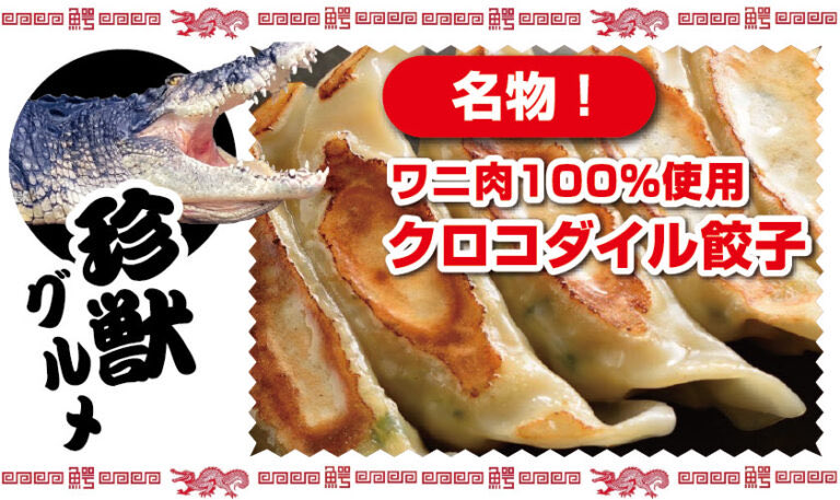 仙台レプタイルズワールド tweet media