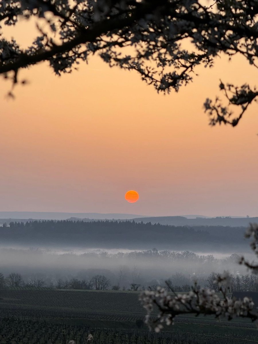 AssoMeteoCVDL's tweet photo. [Lever de soleil ce dimanche dans le Cher]

Wow !  😍 Sublime lever de soleil « saharien » observé ce dimanche 8 mars 2026, dans le Cher, depuis Sancerre, dans une ambiance brumeuse et printanière 🌸. 

Photo : Marine Glltblr. https://t.co/0yV8UQOyBm