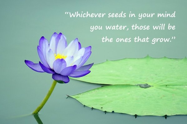 JJackie1974's tweet image. #mindful