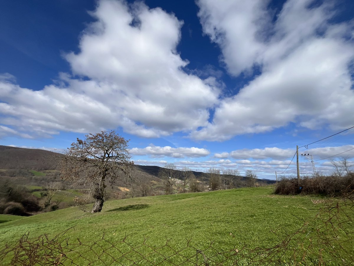 _dgnayse's tweet image. Yeşilin ve mavinin tonları🥰 🌿💙

Günaydın 
Mutlu pazarlar 🤗

#şile