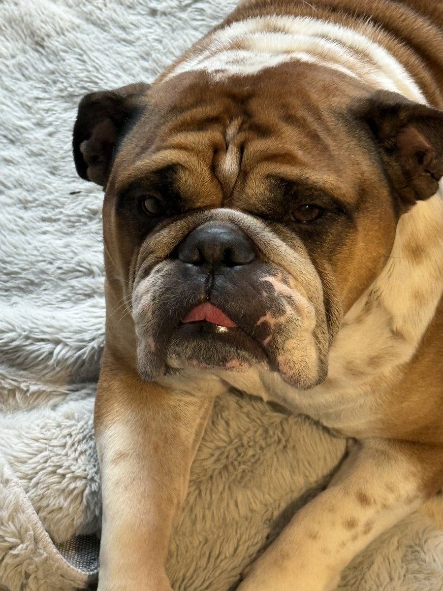 The Daily Profiler tweet media