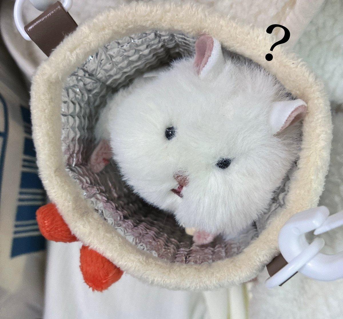 ちいも。 tweet media