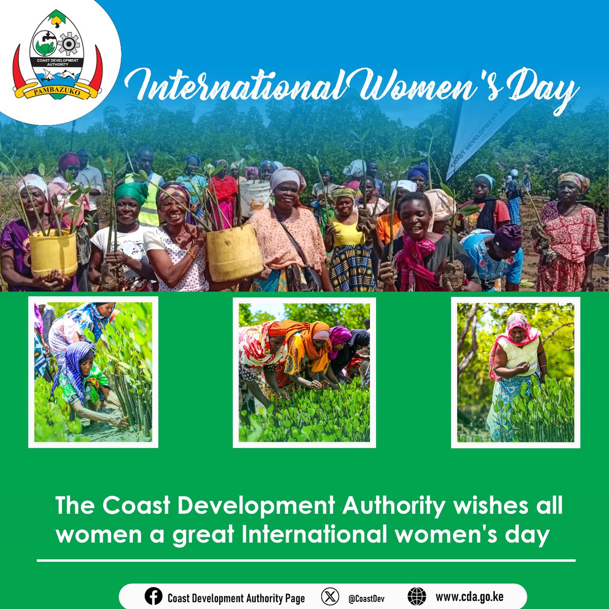 Coast_Dev_Authority tweet media