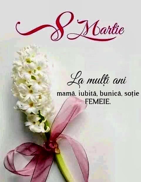 Eugen Orlando TEODOROVICI tweet media