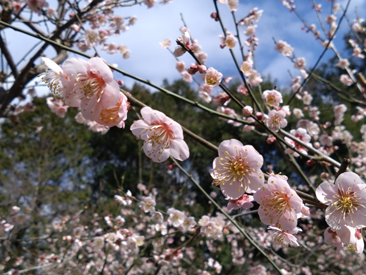 ユウマナ tweet media