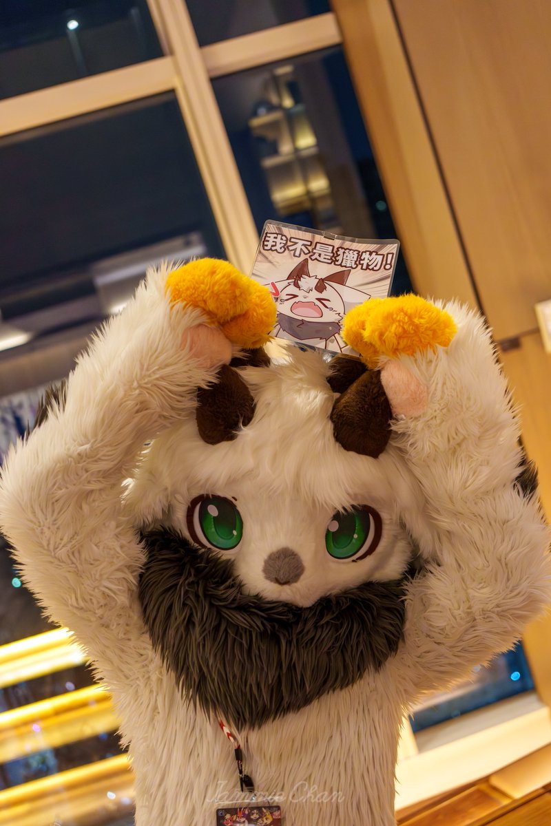 僕は獲物じゃない!!!!!
📸:醬醬

#FursuitEveryday #FurryTeaParty2026
