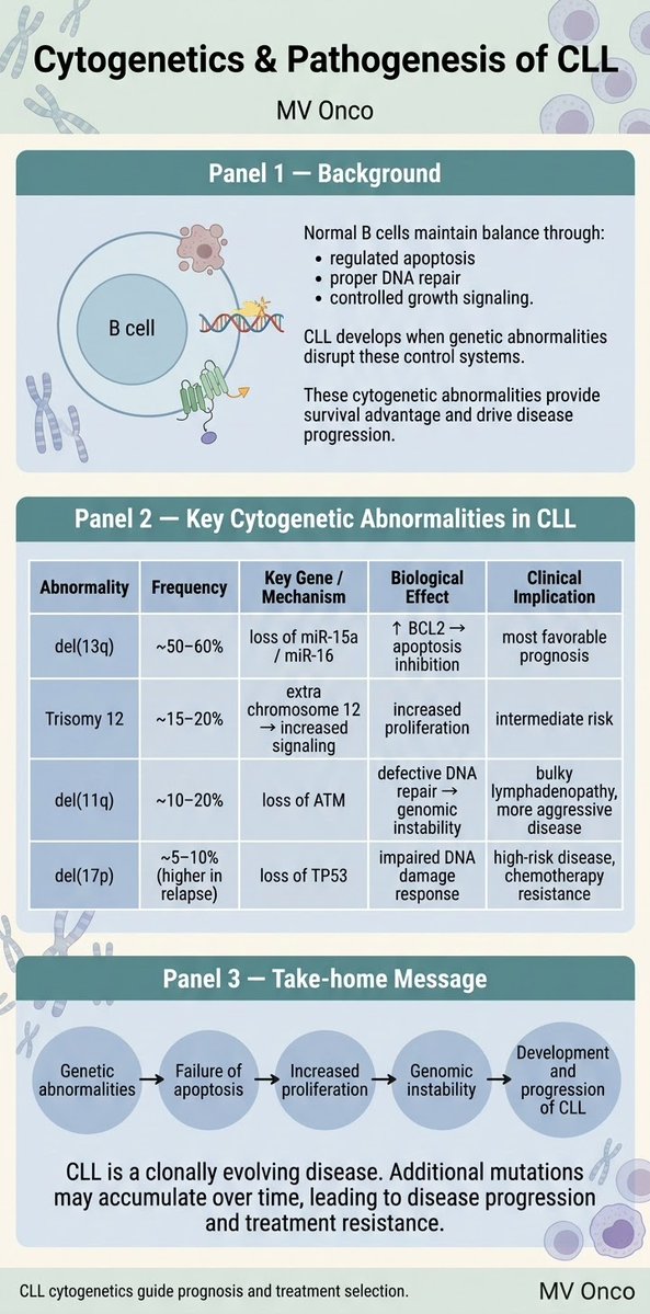 MV Chandrakanth tweet media